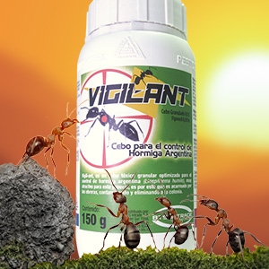 Vigil-Ant, Nuevo Hormiguicida