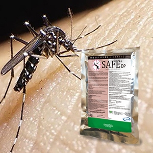 Alerta Sanitaria por Mosquito transmisor del Dengue