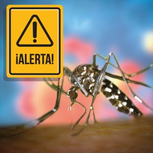 Alerta por presencia de Dengue en las regiones de Arica y Parinacota y Coquimbo
